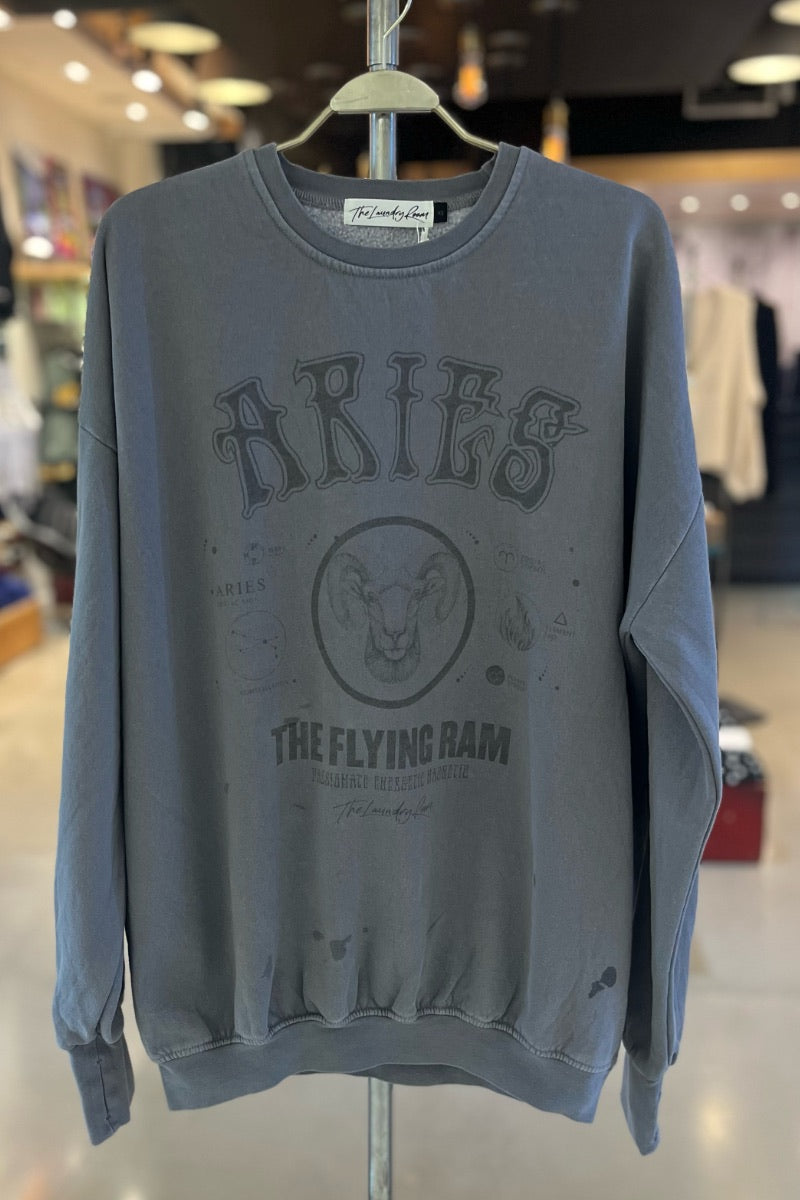 The Laundry Room Zodiac Sweaters in Grey