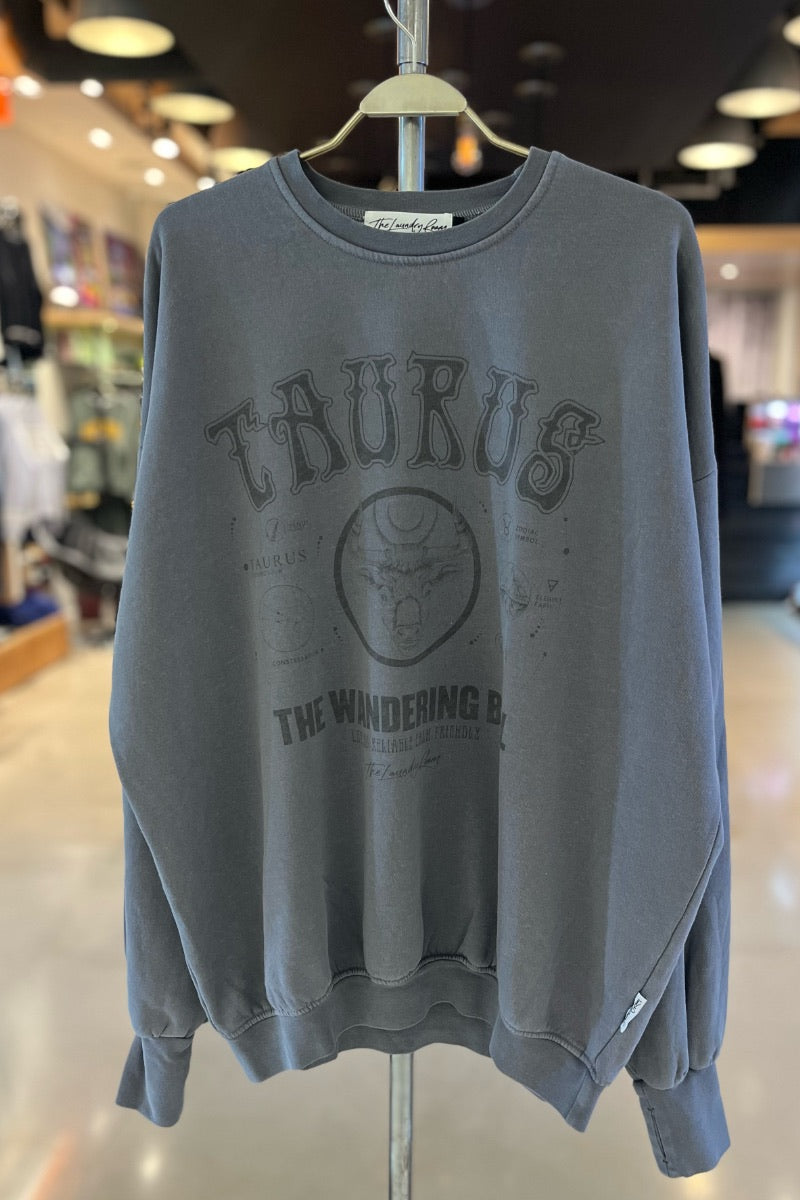 The Laundry Room Zodiac Sweaters in Grey